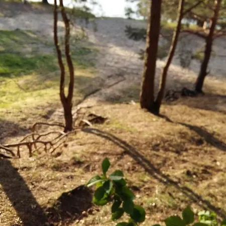 Natur-freude-16 Διαμέρισμα