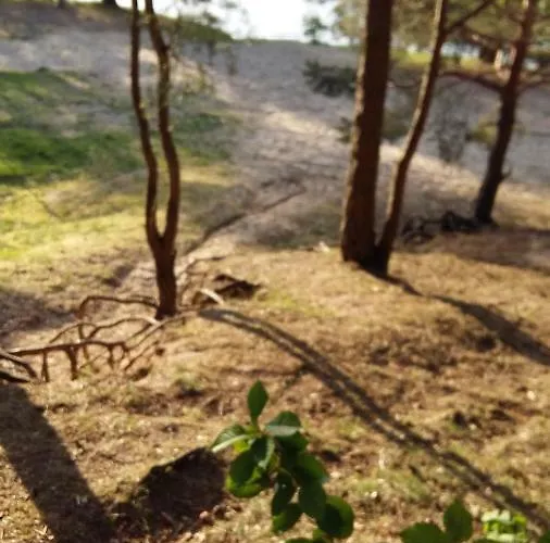 Natur-freude-16 Apartment